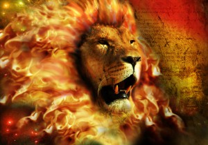 fire_lion